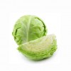 Green Cabbage - Crisp & Nutritious