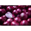 Red Onions - Crisp & Flavorful