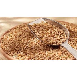 Bhalia Wheat - Hard Grain & Nutrient-Dense