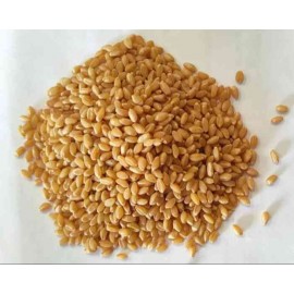 Sharbati Wheat - Soft & Nutritious